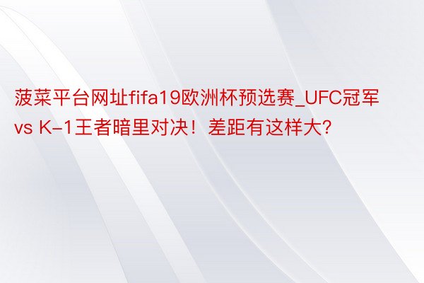 菠菜平台网址fifa19欧洲杯预选赛_UFC冠军 vs K-1王者暗里对决！差距有这样大？